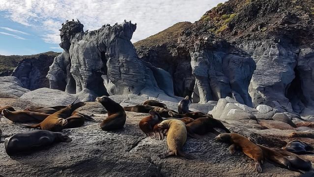 แหล่งมรดกโลกโดยยูเนสโก: ทริป 1 วันบนเกาะโคโรนาโดจากลอเรโต