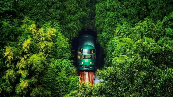 Kyushu Beppu Hell + Natural Zoo + Yufuin 1-day tour| Experience the Yufuin Forest Train