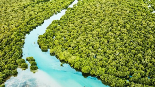 Full Day Tour to Qatar North And West With Pickup From Doha