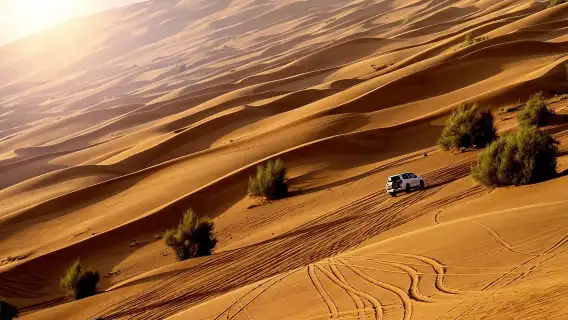 杜拜網紅沙漠沖沙一日遊,品質沖沙+騎駱駝+晚餐+表演+手繪