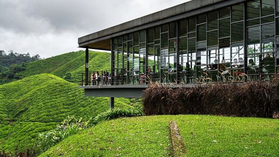 Cameron Highlands Tour