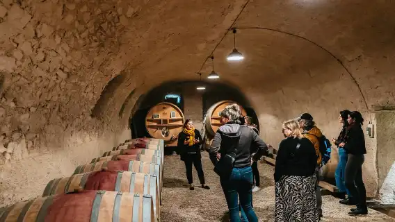 จากลียง: ทัวร์ชิมไวน์ Beaujolais พร้อมชิมไวน์