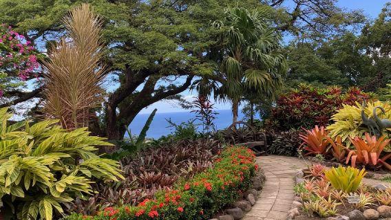 บาสแตร์: สวนและชายหาดอันหรูหรา