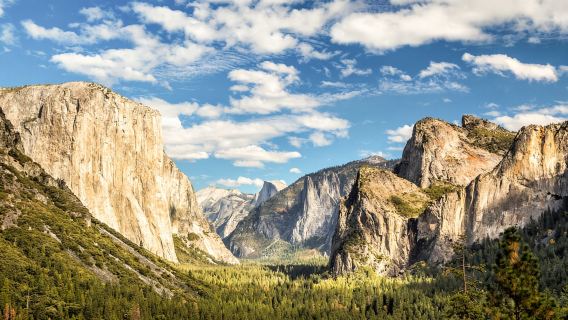Dal Lago Tahoe: gita di un giorno al Parco Nazionale di Yosemite con pranzo