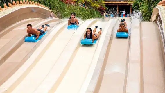 Loro Parque and Siam Park Combined Admission Tickets