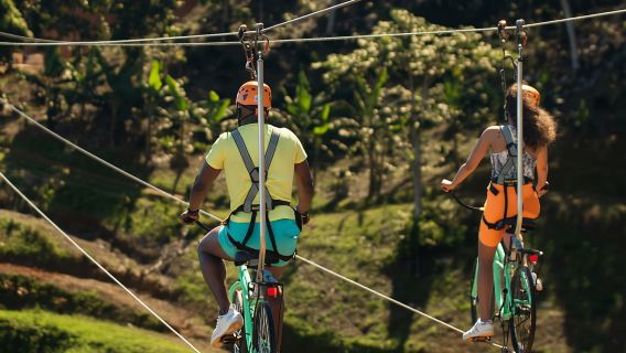 Puerto Rico: Toro Verde Adventure Park Zipline Bike Ticket