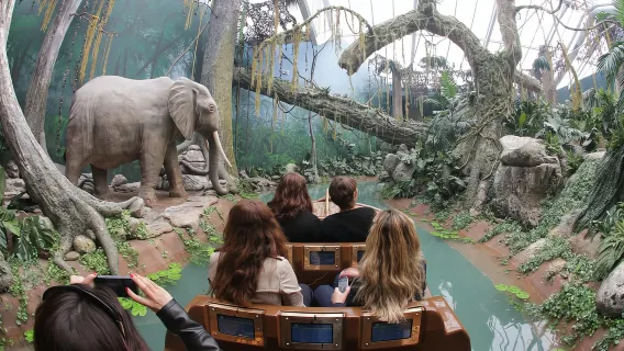 Porto: Bridges Cruise & World of Discoveries & Sunset Option