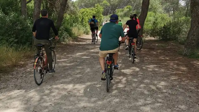 Valencia: Albufera Natural Park Bike and Boat Tour