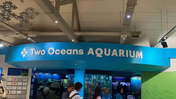 ทัวร์ชิมไวน์และชมนกโลกของพิพิธภัณฑ์สัตว์น้ำ Two Oceans