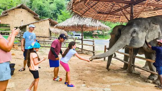 普吉島城市之旅（含夜市參觀和大象餵食）