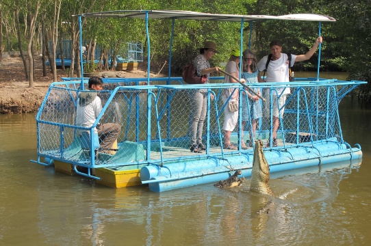 Cần Giờ: Khám phá Vàm Sát EcoPark - Tour trong ngày đảo Cần Giờ