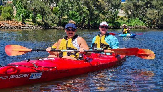 Perth: Recorrido en kayak por el río Swan con cena y cata de vinos