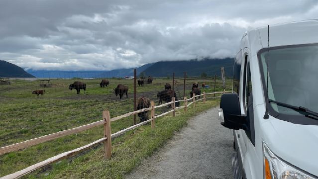Anchorage: Scenic Tour to Wildlife Center