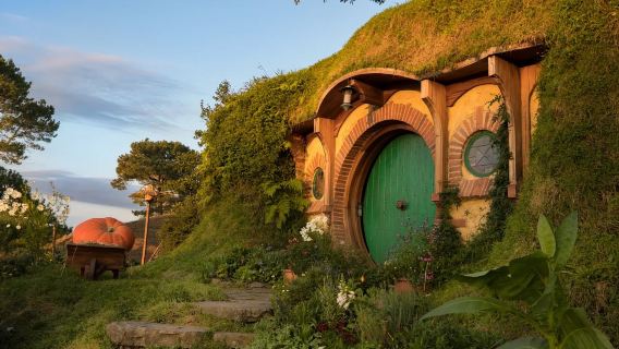 New Zealand Waitomo Glowworm Caves + Hobbiton™ Movie Set Tours 1-day tour [Round-trip from Auckland + Sightseeing Bus]
