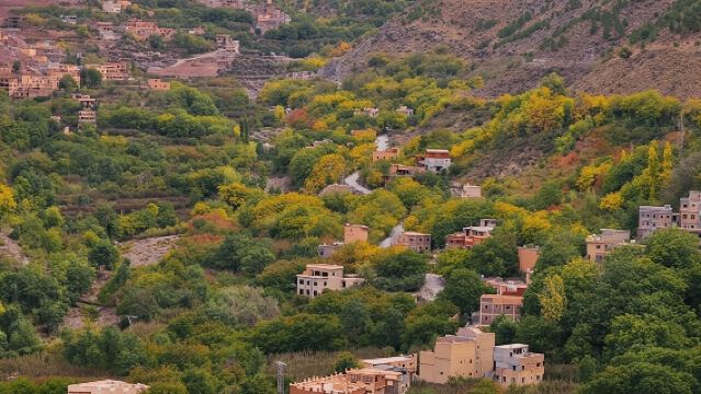 Magical night atalas mountains & camel ride