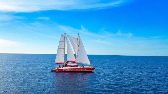 Sail and Snorkel with Turtles at WW2 Shipwreck Includes BBQ