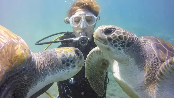 Scuba Diving Beginner's Session in Costa Adeje
