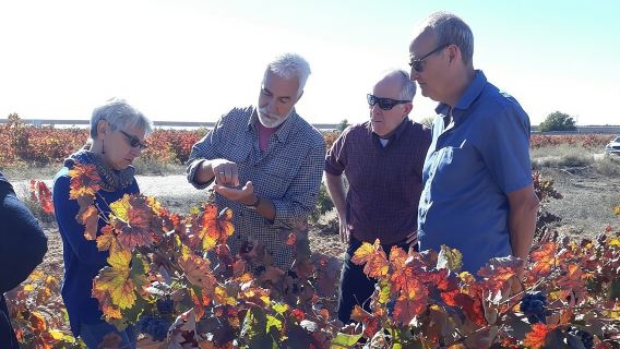 Private Weintour ab Valencia (Vormittagstour)