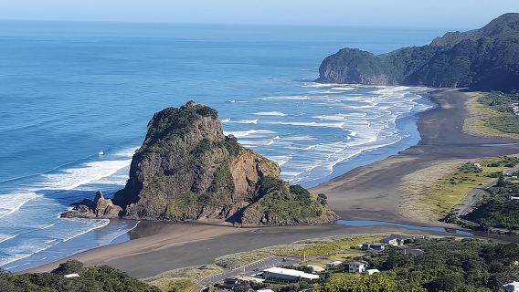 Afternoon Piha Beach and Rainforest Tour from Auckland