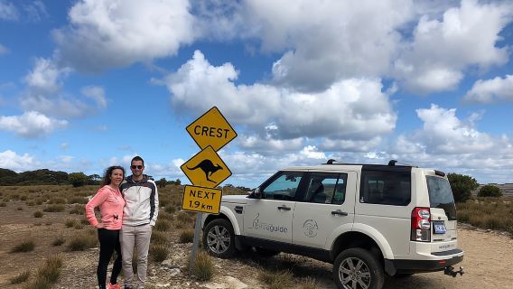 Cape JervisTours