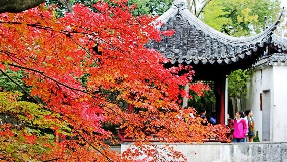 Tour privato flessibile di 4 ore a Suzhou con opzione giardino e giro in barca