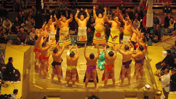 Tokyo Sumo Wrestling Tournament Experience