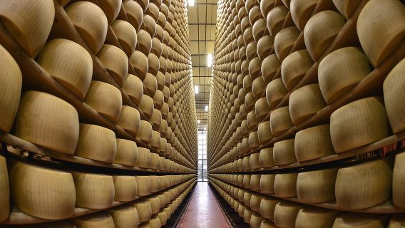 Dari Parma: Tur Pertanian Parmigiano Reggiano & Mencicipi dengan Transfer