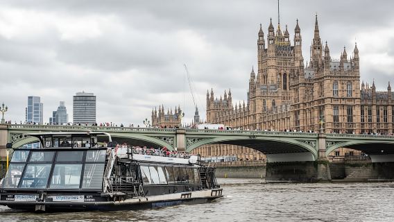 Guided tour of Westminster, river cruise and tickets to The Tower of London