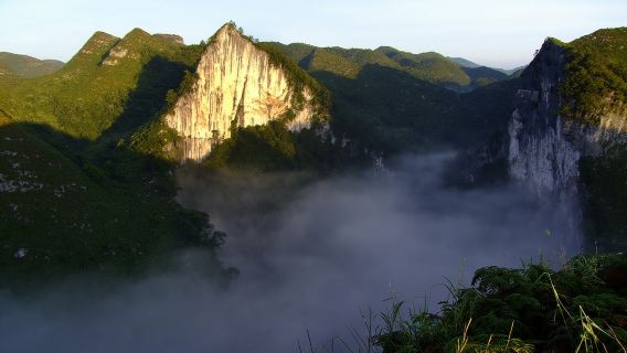 百色大石圍天坑群+布柳河仙人橋景區一日遊【不含門票】