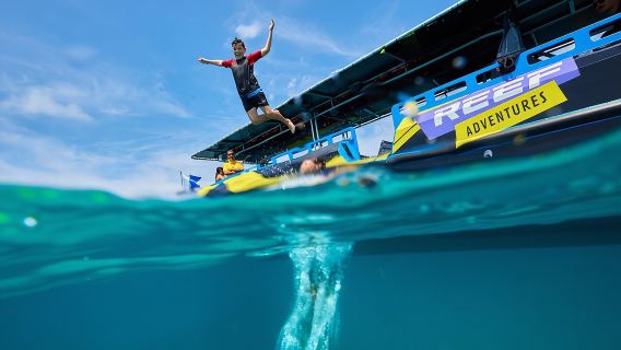 Cairns Half Day Tour a Great Barrier Reef Snorkeling Experience