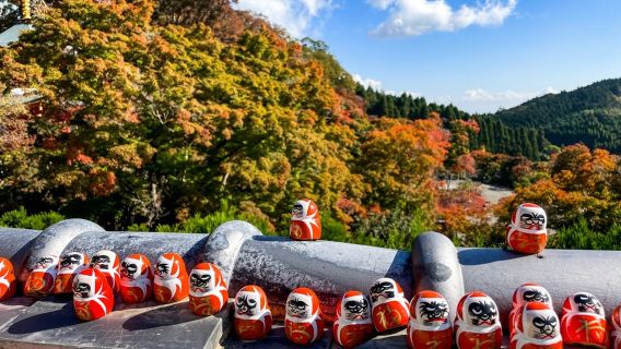 Excursión de un día a Arashiyama, Templo Katsuo-ji y Kioto con experiencia de té matcha incluida (opción de comida)