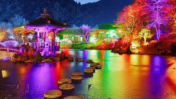 Winter Limited|Nami Island x Little Prince Italian Village x Five-Colored Starlight Garden Exhibition Garden of Morning Calm