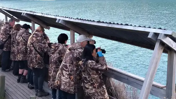 Christchurch, New Zealand one-day tour[Penguin Tour from Akaroa 44547]