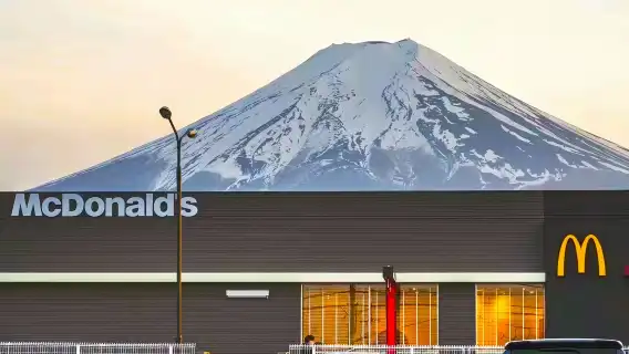 日本東京富士山盛景一日遊【9人精品團|上門接送|中文導遊