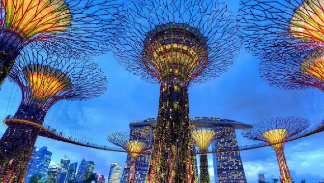 新加坡私人夜遊，包含濱海灣花園和泰晤士河遊船。