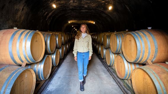 Tour clásico de vinos en Queenstown: Visita a 3 bodegas, tour por una cueva y queso