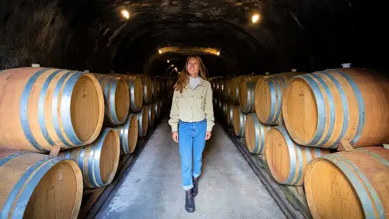 Queenstown Classic Wine Tour: 3 Winery Visits, Cave Tour & Cheese