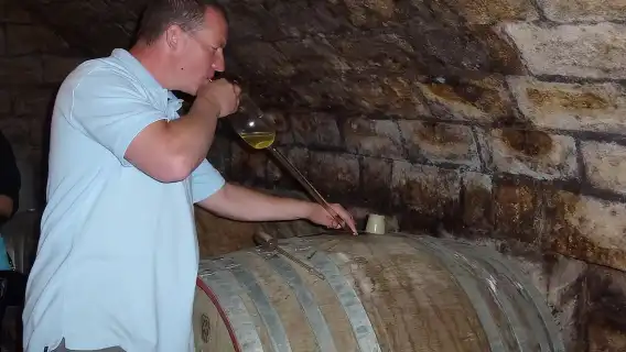 Countryside Half-day Gastro & Wine Tours near Budapest with Meal