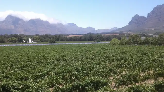 ทัวร์สเตลเลนบอชแบบส่วนตัว ทัวร์ชมไวน์ฟรานส์ชอคพาร์ล จากเคปทาวน์