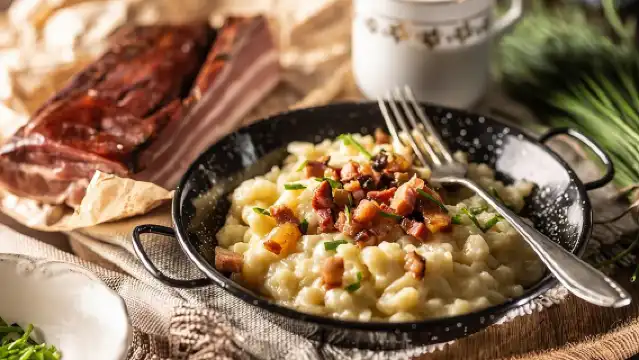 Private Tour of Bratislava from Vienna, Transport and Local Guide