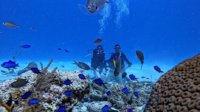 Private Diving Experience for Beginners in San Andres Islands