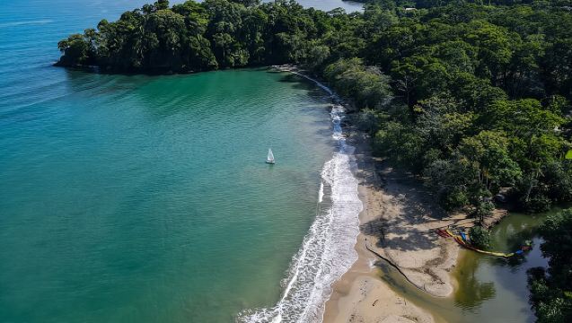 The Sloth and Kayak Tour - Ethical wildlife encounters