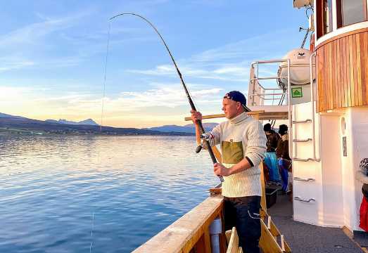 Half-Day Fishing & Fjord Cruise Adventure from Tromsø in Norway