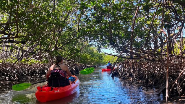 Bonita Springs Eco Kayak Tour – Best Gear, Premium&Clear Kayaks