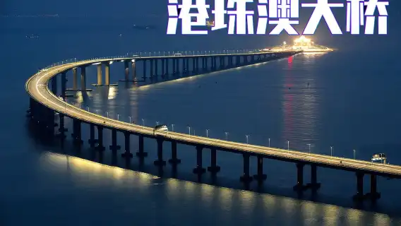 Macau Hong Kong Cross-boundary Commercial Vehicle