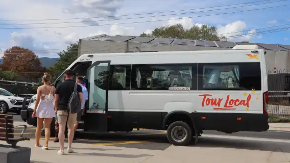 From Melbourne: Redwoods Forest & Yarra Valley Wine Tour