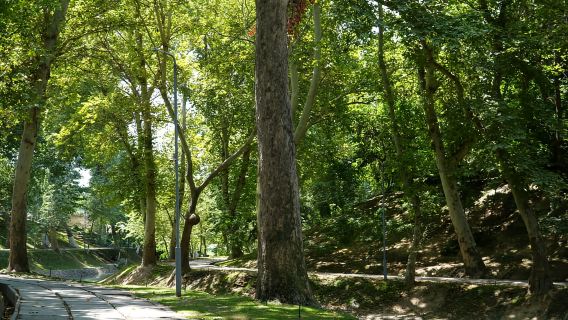 Tashkent: City Tour with Pro Photography, Lunch & Dinner