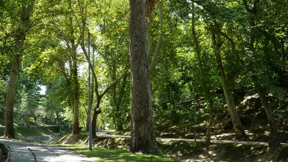 Tashkent: tour della città con servizio fotografico professionale, pranzo e cena