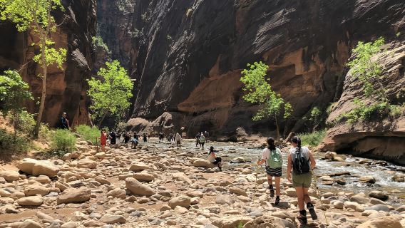From Las Vegas: Zion and Bryce Canyon Day Trip with Pickup