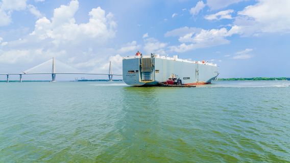 Charleston: Sightseeing Harbor Tour & Dolphin Watch